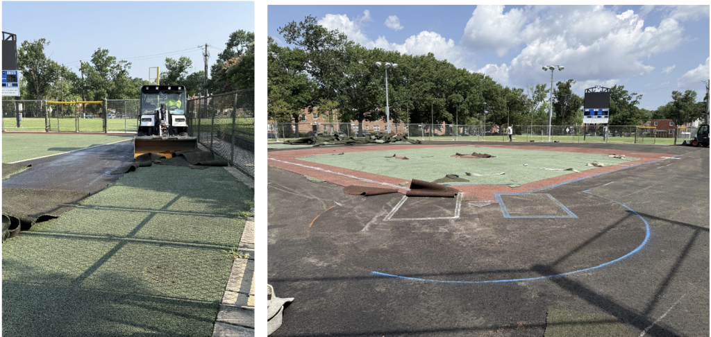MLA Field Before Pictures
